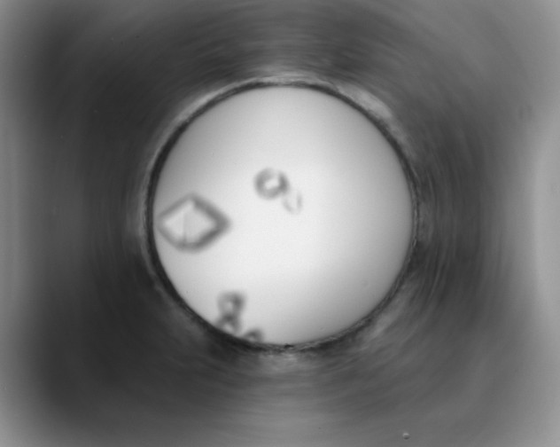 X0000089851231200707191856