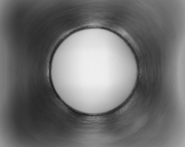 X0000089851232200707191856