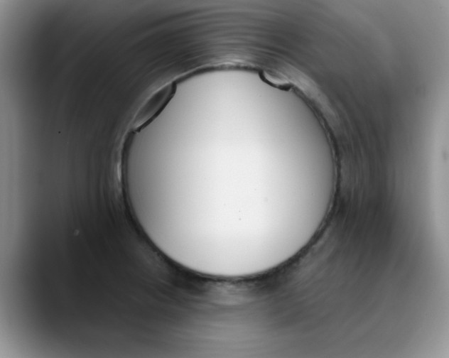 X0000089851234200707191856