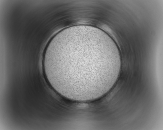 X0000089851235200707191856