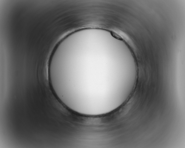 X0000089851238200707191856