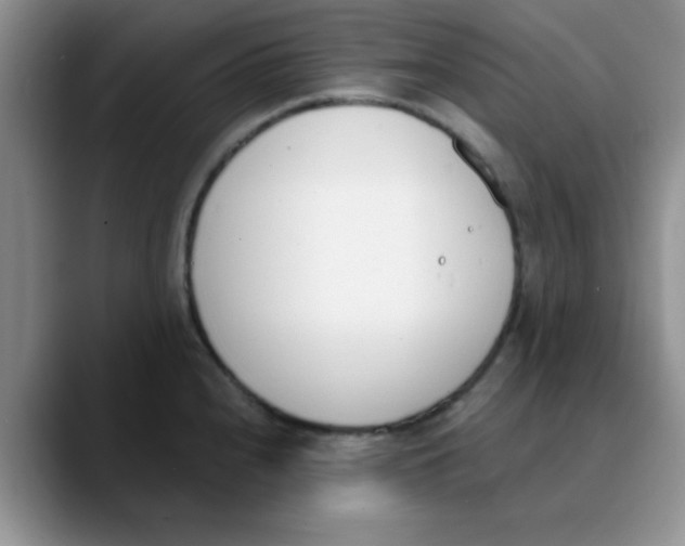 X0000089851240200707191856