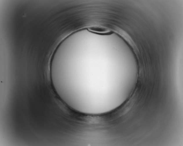 X0000089851242200707191856