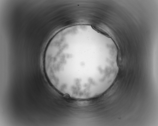 X0000089851243200707191856