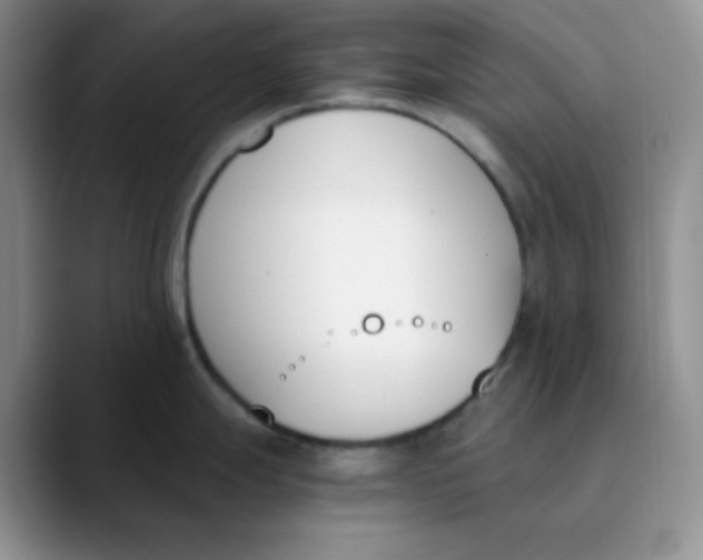 X0000089851247200707191856