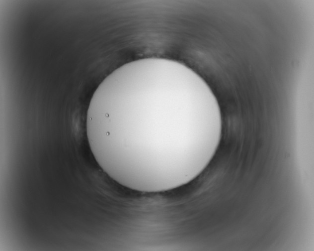 X0000089851250200707191856