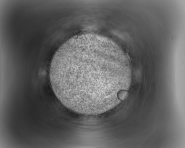 X0000089851254200707191856