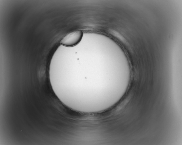 X0000089851259200707191856