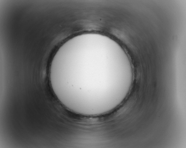 X0000089851261200707191856