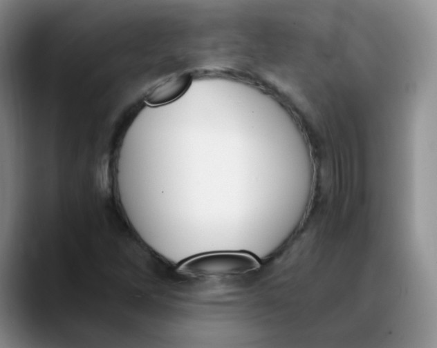 X0000089851262200707191856