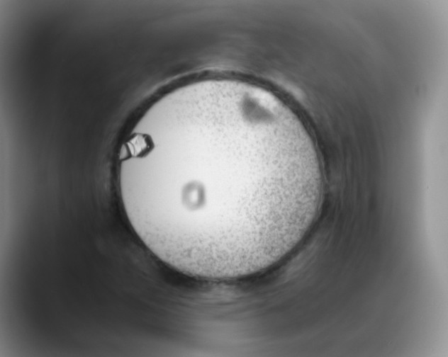 X0000089851263200707191856