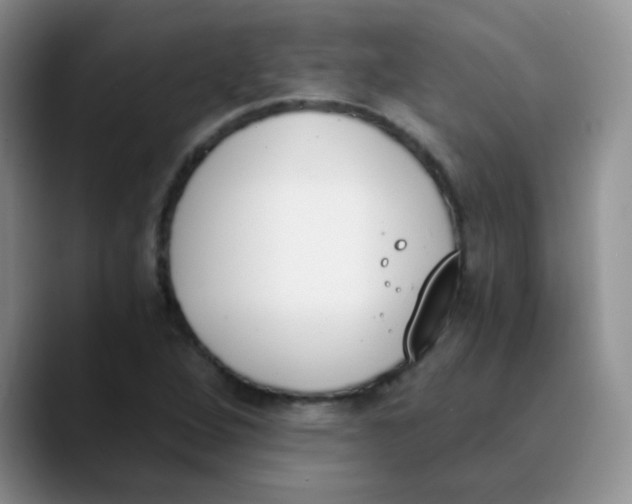 X0000089851264200707191856