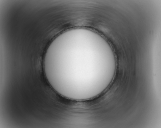 X0000089851265200707191856