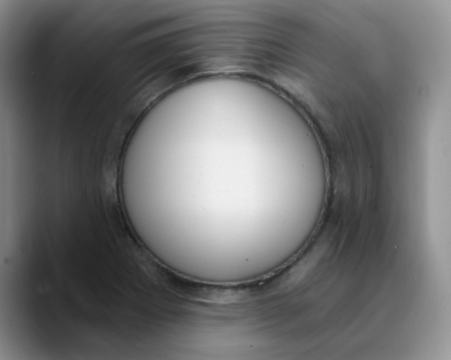 X0000089851273200707191856