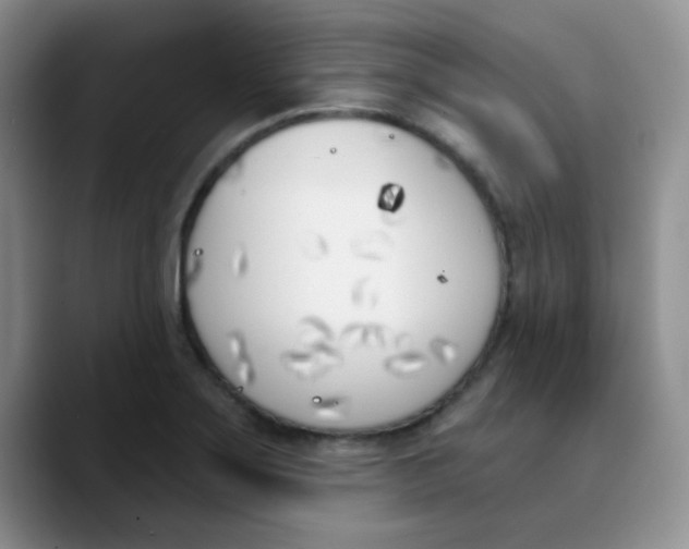 X0000089851275200707191856