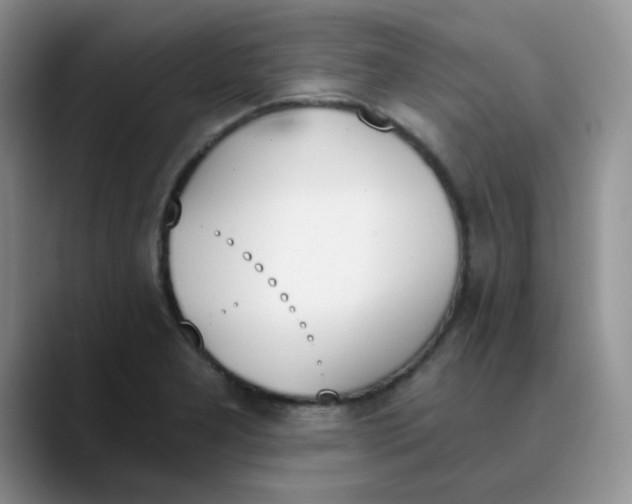 X0000089851277200707191856