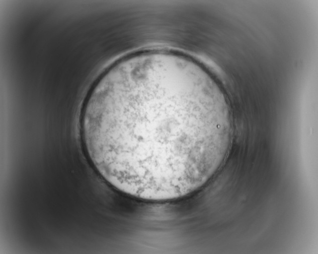 X0000089851279200707191856