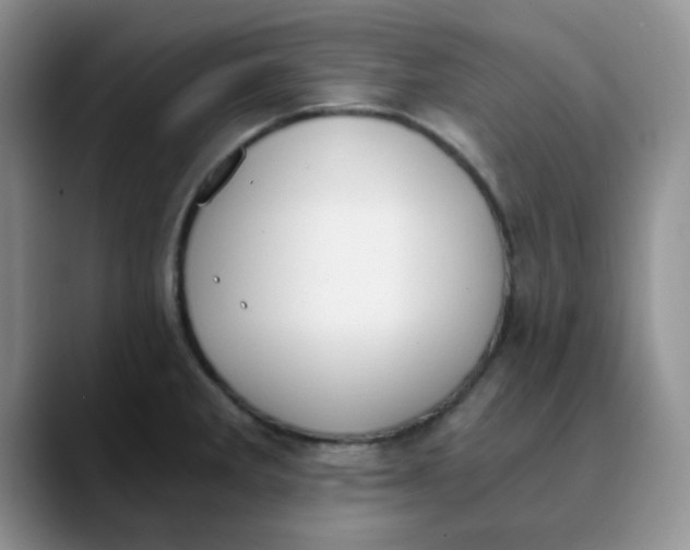 X0000089851285200707191855