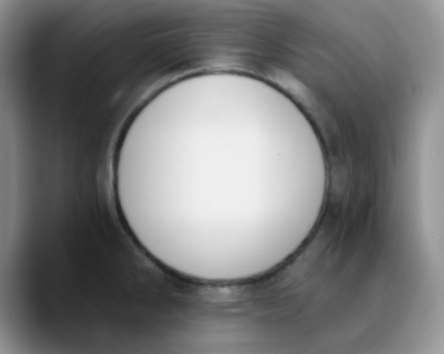 X0000089851286200707191855