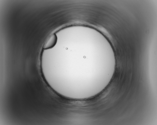 X0000089851287200707191855