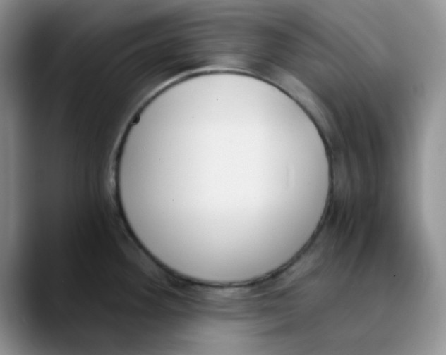 X0000089851292200707191855