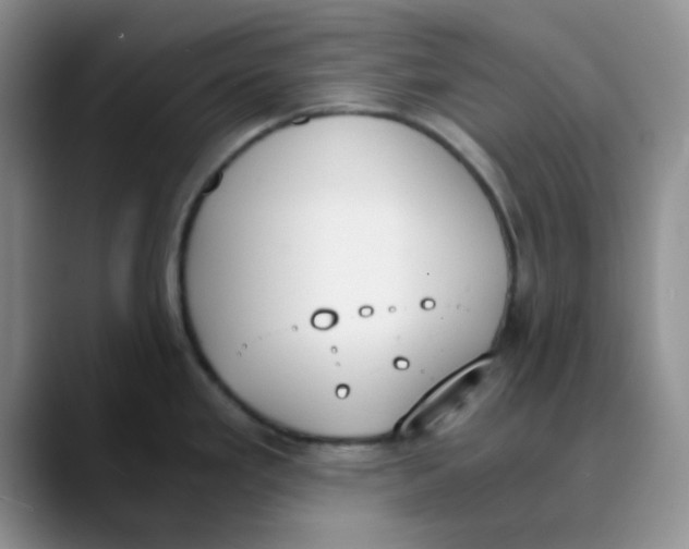 X0000089851293200707191855