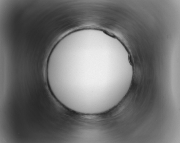 X0000089851295200707191855