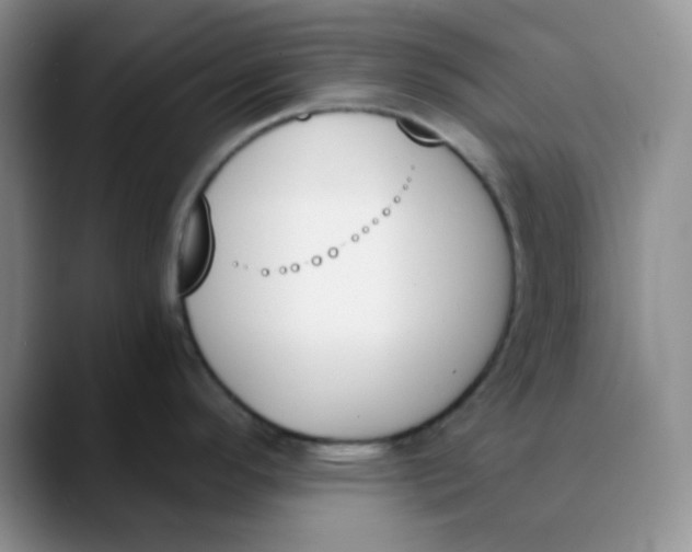 X0000089851296200707191855