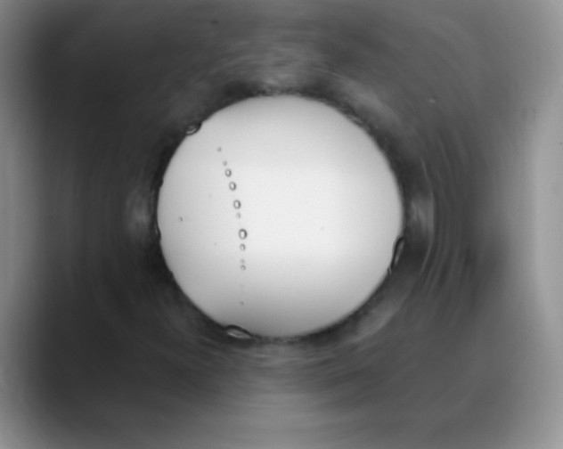 X0000089851300200707191855