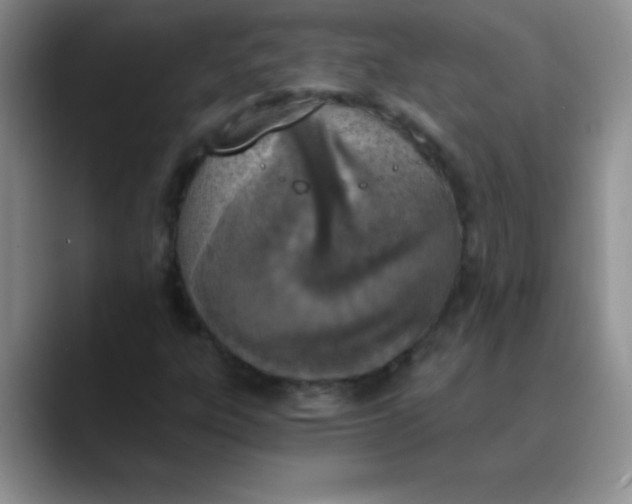 X0000089851303200707191855