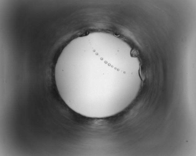 X0000089851304200707191855