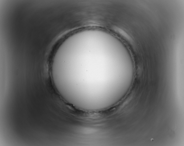 X0000089851310200707191855