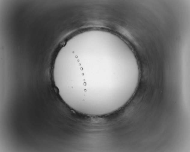 X0000089851312200707191855