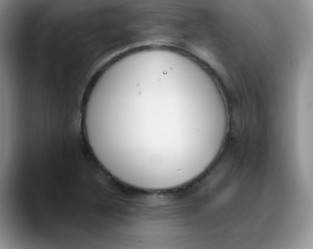 X0000089851316200707191855