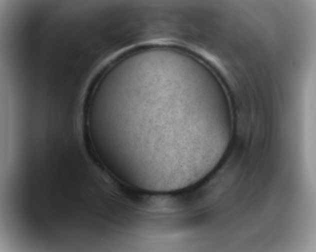 X0000089851319200707191855