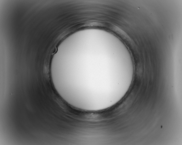 X0000089851321200707191855