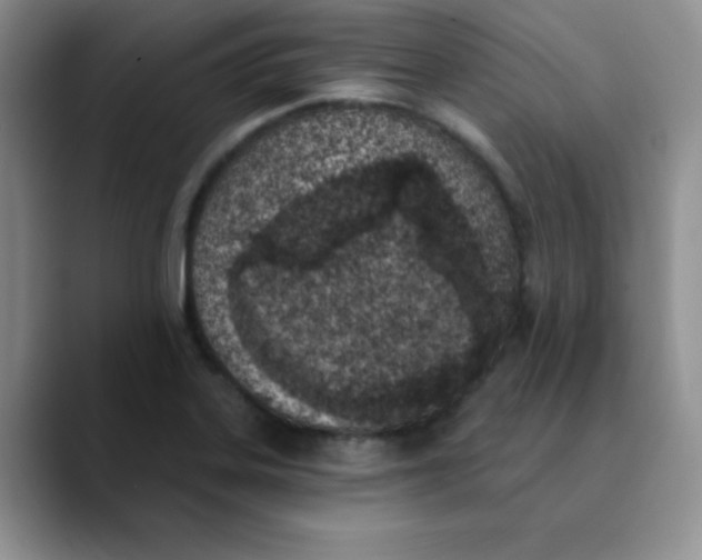 X0000089851323200707191855