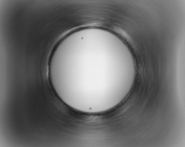 X0000089851324200707191855