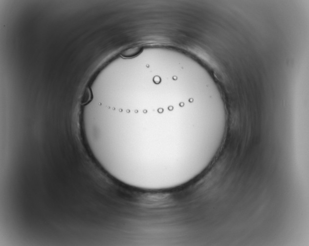 X0000089851325200707191855