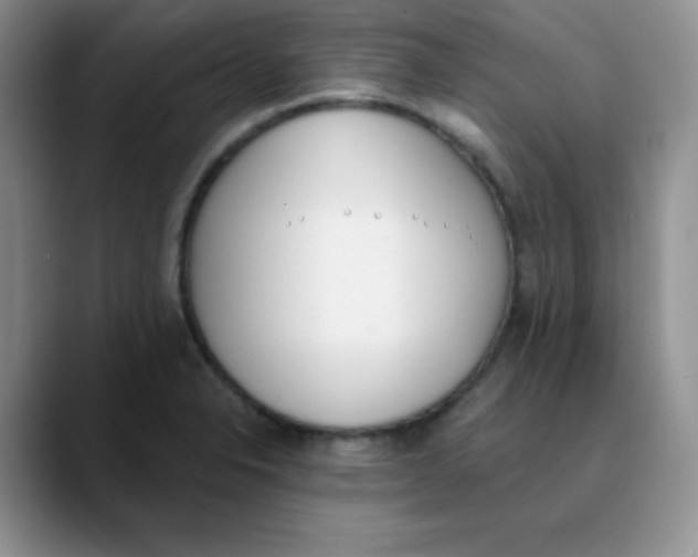 X0000089851326200707191855