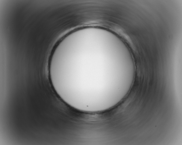 X0000089851328200707191855