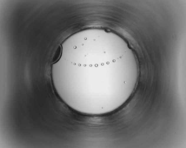 X0000089851329200707191855