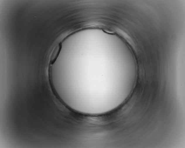 X0000089851330200707191855