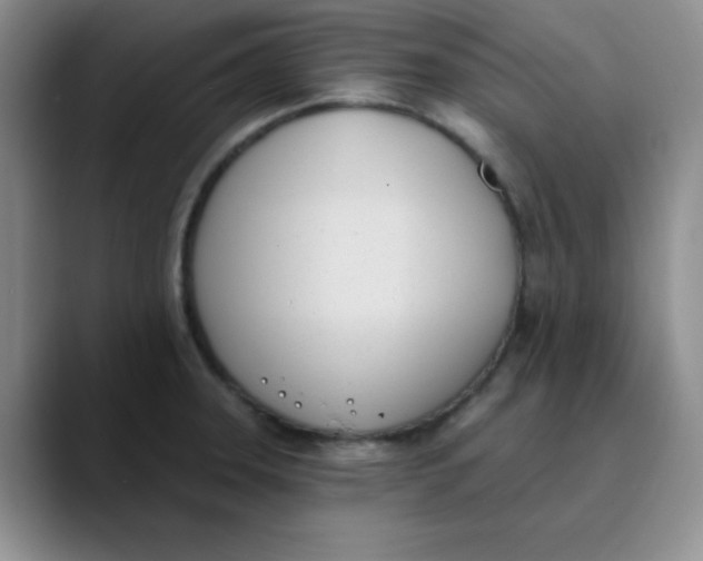 X0000089851331200707191855