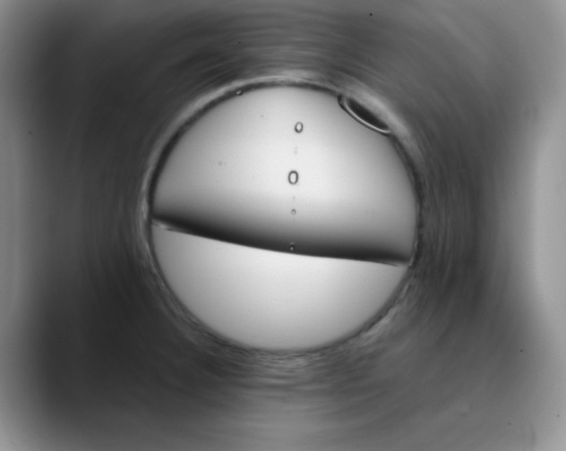 X0000089851332200707191855