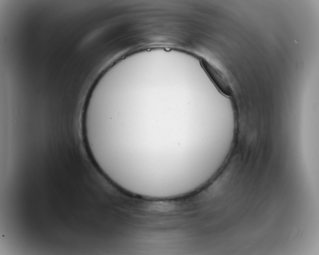 X0000089851333200707191855