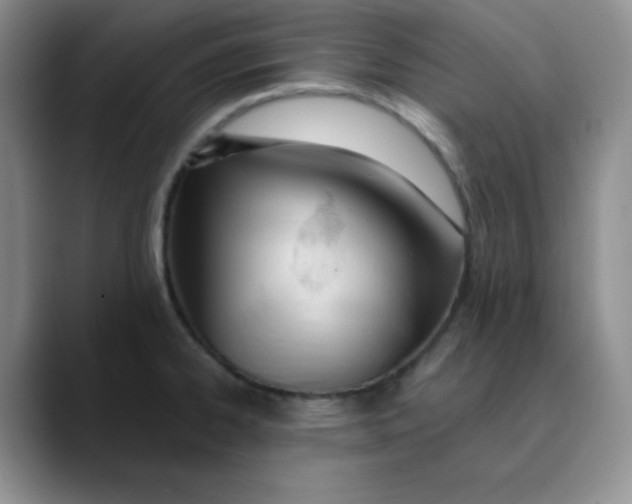 X0000089851334200707191855