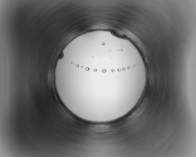 X0000089851337200707191855