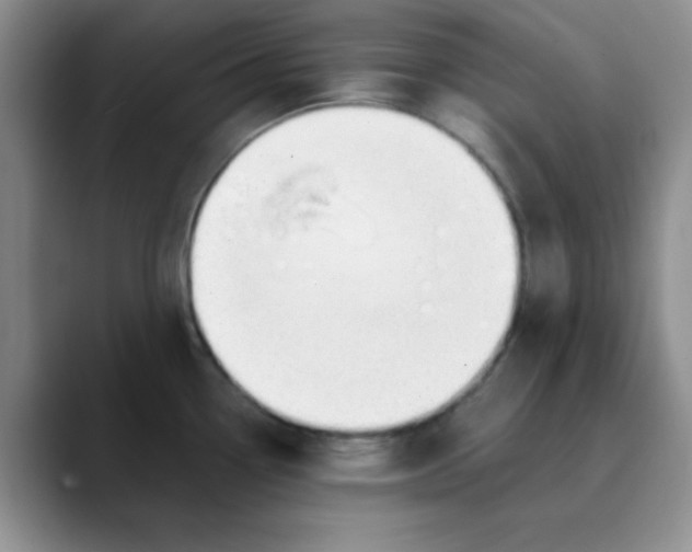 X0000089851338200707191855