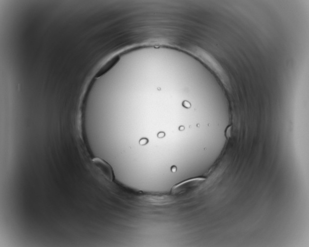 X0000089851340200707191855